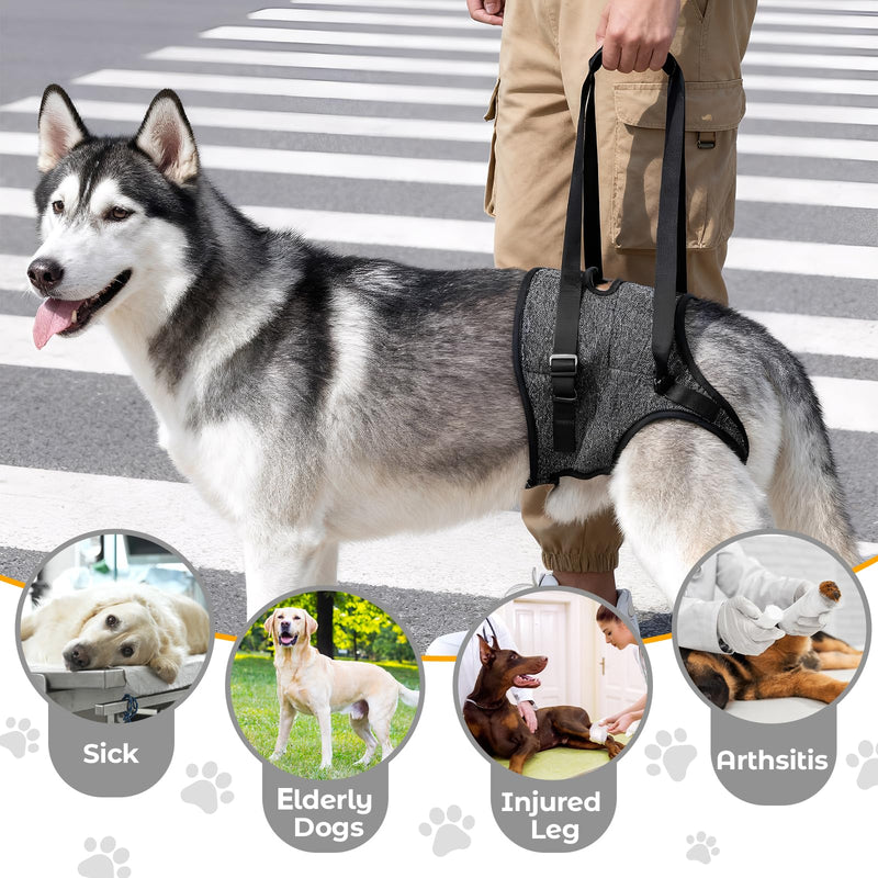 Dog Lifting Harness for Back Legs, Walking Assistance Rehabilitation Harness with Padded Handle Adjustable Support Sling Hind Leg Brace, Mobility Aid for Injured, Disabled, Elderly Dogs M
