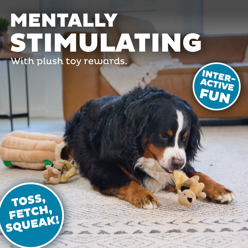 Outward Hound Hide A Squirrel Plush Dog Toy Puzzle, XL Multi 5 Piece Set - PawsPlanet Australia