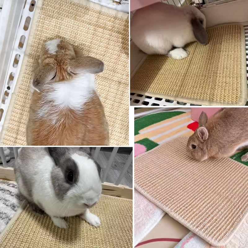 Oncpcare Rabbit Scratch Mat - Natural Bunny Scratching Pad for Claws and Teeth Care, Chew Toys, Pet Cage Bedding for Biting, Sleeping, Nesting - 24x16 Natural 1pcs 24"x16"