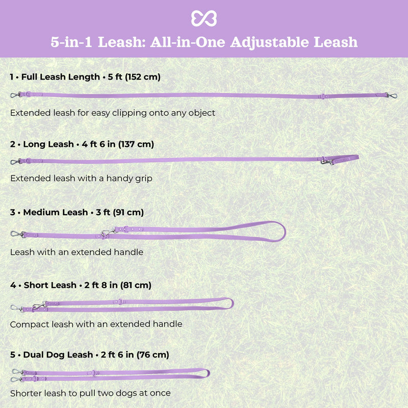 Waterproof Dog Leash | BearBone Double Ended Dog Leash | PVC Rubber Dog Leash with Dual Clip for Versatility | Lilac Dog Leash for Small Dogs (Lilac, Small) - PawsPlanet Australia
