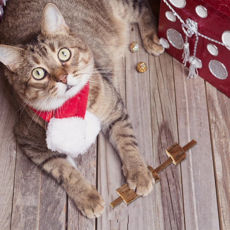 TEHAUX 2-Piece Cat Chew Toys with Silver Vines for Dental Care and Bad Breath Elimination for Kittens and Cats as a Long-Lasting Chew Toy