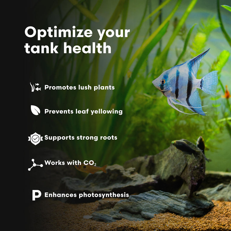 Brightwell Aquatics Florin-K High-Purity Potassium Supplement for Freshwater Aquariums Supports Photosynthesis, Growth & Enzyme Activation, Shrimp Safe, 500 ml 500-ml