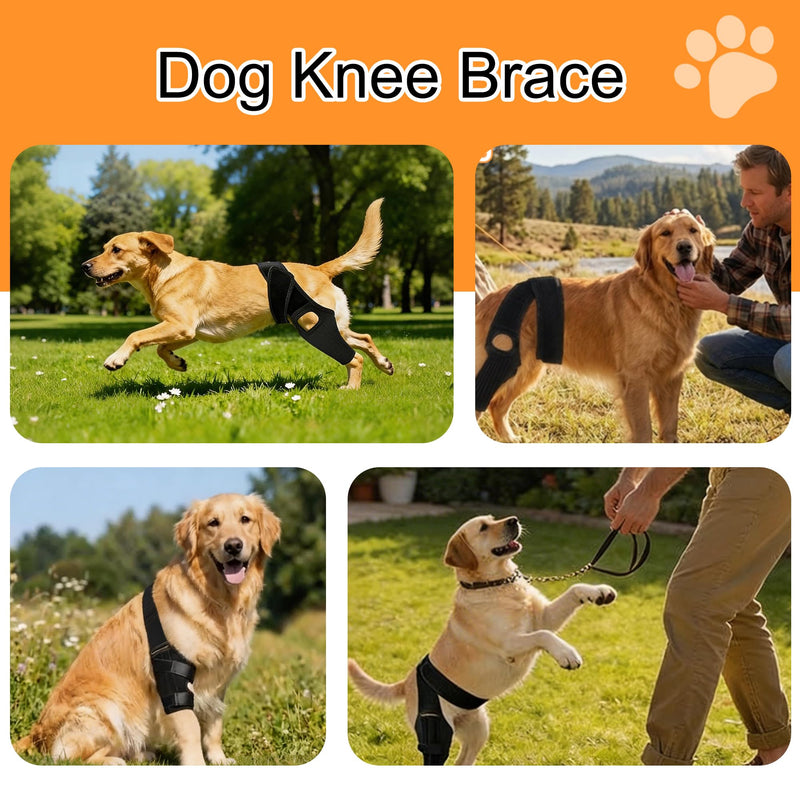 Dog Knee Brace with Side Stabilizers for Joint Support, Adjustable Soft Breathable Leg Braces, Helps with Knee Cap Dislocation, Prevent Licking-Large L