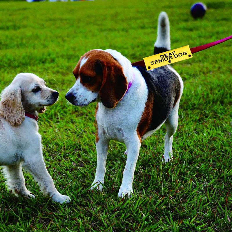 Hearing Impairment Dog Leash Sleeve Deaf Senior Dog Dog Leash Sleeve Use On Special Needs Dog (Deaf Senior Dog-YE Sleeve) Deaf Senior Dog-YE Sleeve - PawsPlanet Australia