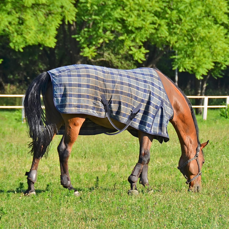 6 Packs Horse Blanket Leg Straps Elastic Horse Blanket Straps Replacement with Ended Clips, Adjustable Length 20 to 30 Inches Stretchy Leg Straps - PawsPlanet Australia