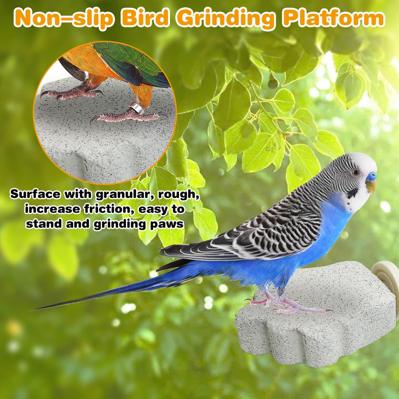 PINVNBY 4 PCS Bird Perches Calcium Parrot Perch Stand Bird Beak Grinding Stone Foot Claws Trimmer Parrot Chewing Toys Bird Cage Accessories for Budgie Cockatiel Conure Lovebird Finch Style 1: 4 pcs