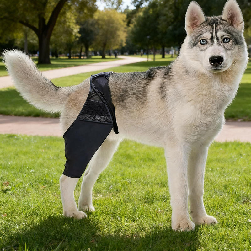 Elbow Support for Dogs Dog Leg Protection Adjustable, Lick Protection Dog Rear Leg, Black Lick Protection, Rear Leg Dog for Elbow Protection, Support for Outdoor, Winter, Post-Operative Care, XL