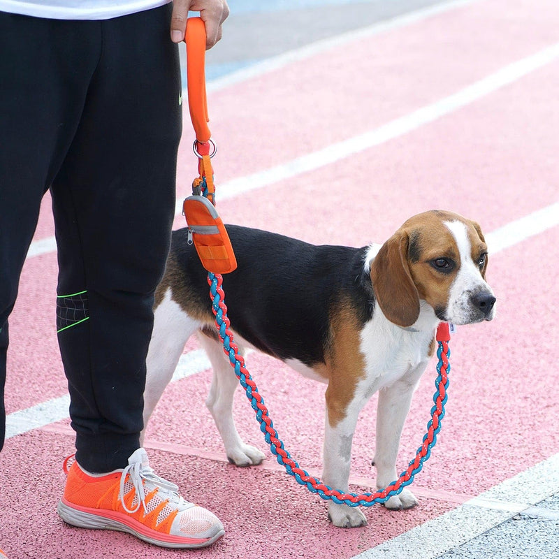 Blueberry Pet Heavy Duty Reflective Braided Handmade Dog Rope Leash in Flame Red and Azure Blue, 4 ft, Strong Leashes for Dogs - PawsPlanet Australia