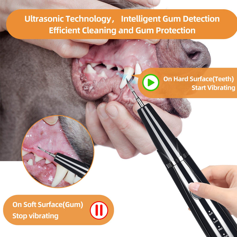 Ultrasonic Dog Plaque and Tartar Remover, Teeth Cleaning Kit for Pets, Rechargeable Dental Scraper for Pets, 5 Modes with 3 Cleaning Heads, with LED Light - PawsPlanet Australia