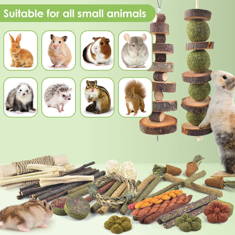 ERKOON Bunny Toys Boredom, 100 PCS Bunnies Timothy Hay Sticks Carrots Rose Grass Cake Dental Care, Molar, Chinchillas Toy Chew Toy, Guinea Pigs, Hamsters, Chinchilla, Rabbit Chew Toys for Teeth - PawsPlanet Australia