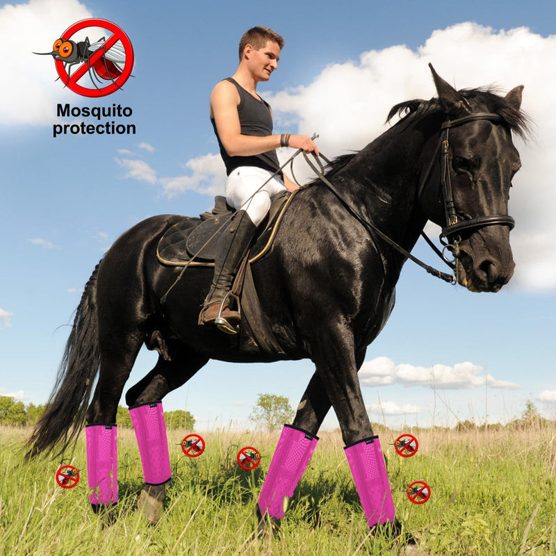 Horse Fly Boots, Breathable Mesh Protection Set of 4, Comfortable Pony Leggings, Breathable Mesh Design, Equines Supplies for Reduce Stomping, Hoof Damage & Leg Fatigue (Rose Red, Large) Rose Red Large (For average horses) - PawsPlanet Australia