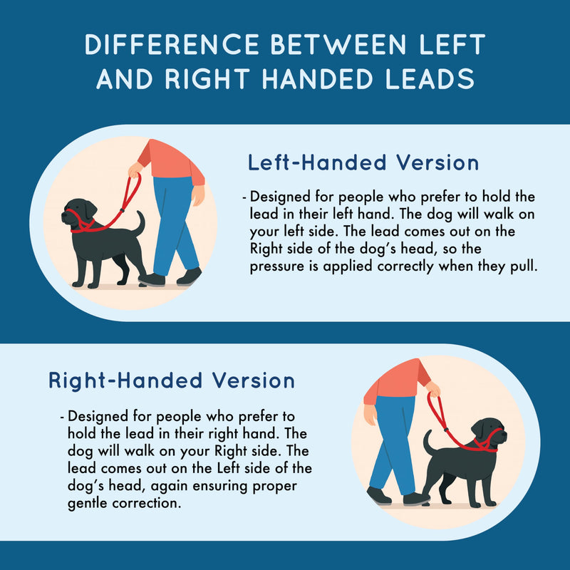 Extra-Wide Anti Pull Dog Headcollar - Trainer Approved - Soft & Gentle Control - Practical Dog Training & Behaviour Aid - Right Hand - UK Made - Doesn't Include Lead - Red Large | X-Wide - PawsPlanet Australia