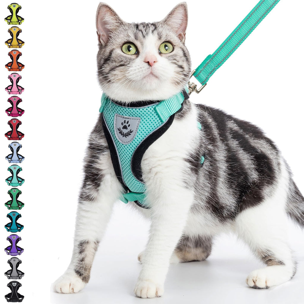 PUPTECK Cat Harness and Leash Set Escape Proof Reflective Cat Walking Harness Adjustable Soft Breathable Mesh Vest for Small Pets, Aquamarine, S S (NECK 9.5"-11", CHEST 13"-16")