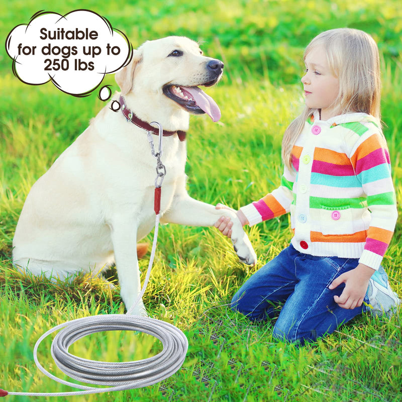Dog Tie Out Cable for Dogs Outside Up to 125/250lbs,10/20/30/50FT Long Dog Leashes&Chains,Small-Large Dogs Runner Cable for Yard ,Heavy Duty Dog Lead Line for Outdoor,Camping,Yard 250lbs 10FT Silver - PawsPlanet Australia