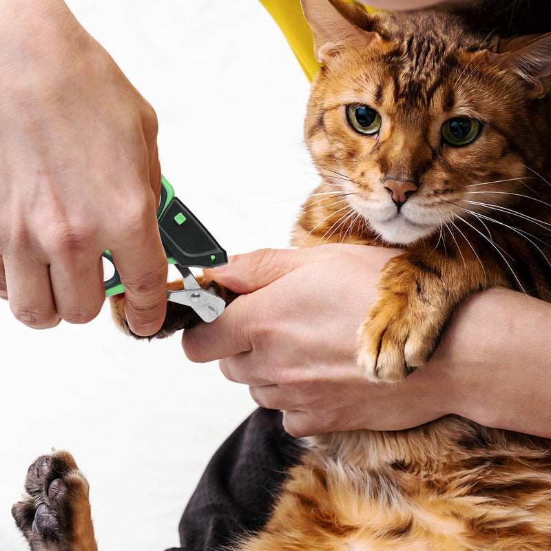 Mr. Pen- Cat Nail Clipper with Adjustable LED Light, Green Cat Nail Trimmer, Cat Claw Clippers, Cat Clippers for Nails, Pet Nail Clippers, Kitten Nail Clipper, Small Dog Nail Clipper Cat Claw Trimmer - PawsPlanet Australia