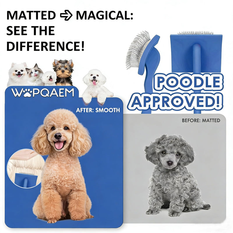 Slicker Brush for Dogs, Large Long Pin Dog Brush for Cockapoo Cavapoo Doodles Poodles Goldendoodle Labradoodle, 2 PCS Large Pet Comb and Grooming Brush, Wood Handle - Blue - PawsPlanet Australia