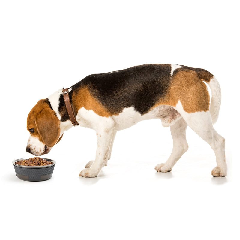 PetRageous 16019 Kona Stainless Steel Non-Slip Dishwasher-Safe Dog Bowl 3.75-Cup 6.75-Inch Diameter 2.5-Inch Tall for Medium and Large Dogs and Cats 30-Ounce, Grey
