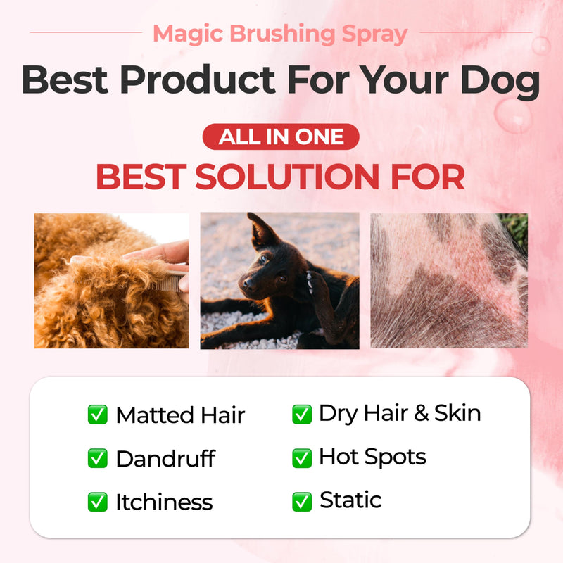 JAYU PET Magic Brushing Spray - Fur Detangler & Dematting Solution, Hypoallergenic Deodorizer, Conditioner & Itch Relief, Shining & Grooming Spray for Dogs (5.8fl oz, 170ml) Detangling & Deodorizing - PawsPlanet Australia