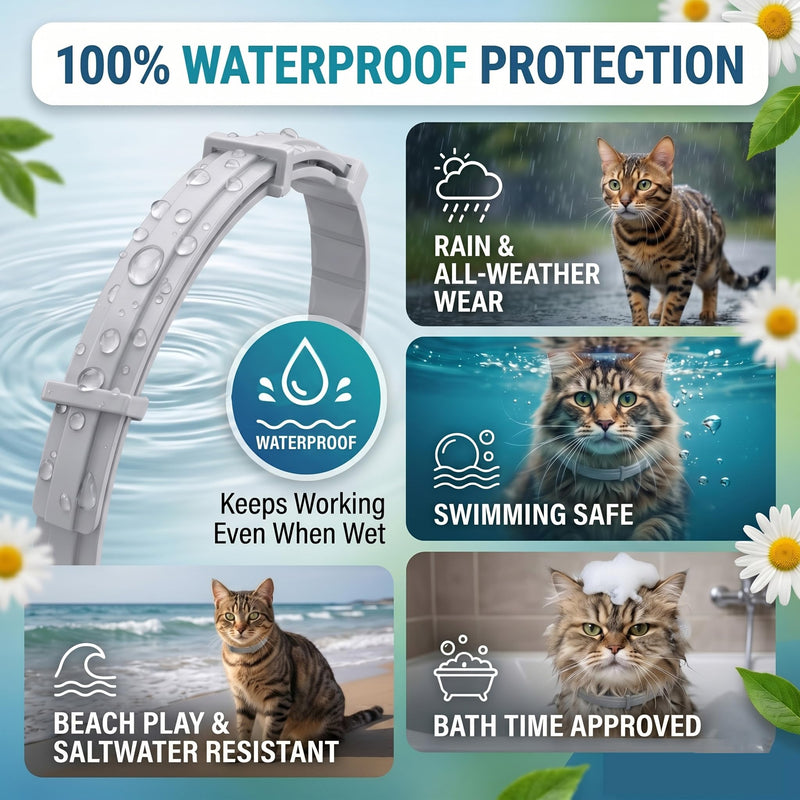 Flea Collar for Cats 2 Pack - 12 Month Natural Flea and Tick Prevention for Cats, Waterproof Cat Flea Collar with Continuous Release, Adjustable Kitten Collar