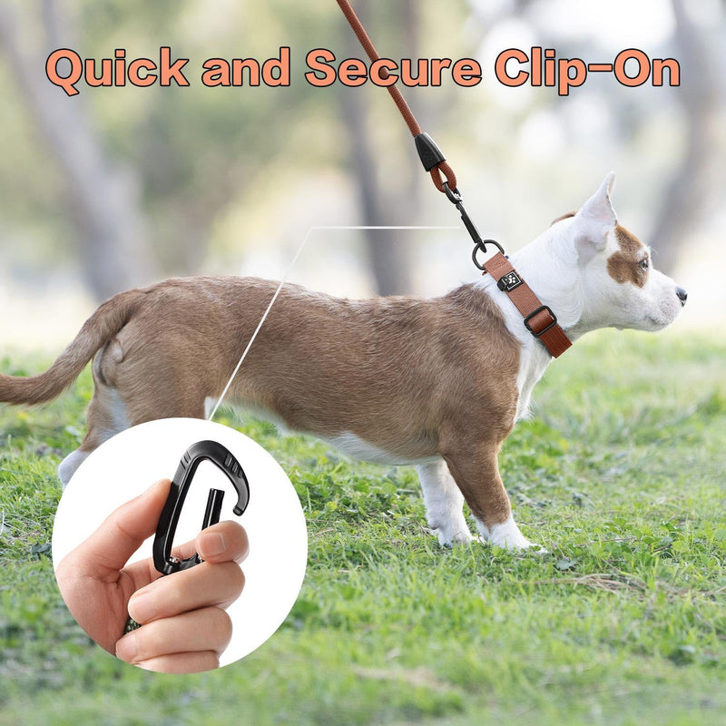 PawsPassion Rope Dog Leash 6 FT, 2-in-1 Heavy Duty Dog Leash with Seat Belt Buckle, Tangle Free 360ｰ Swivel Aviation Aluminum Carabiner, All Metal Hardware, Alloy O-Ring (Canyon Red) Canyon Red - PawsPlanet Australia