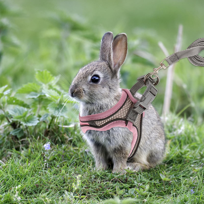 Rabbit Harness and Leash Set, Breathable Pet Vest, Bunny Harness with Reflective Strips, Soft Mesh for Small Kitten, Puppy, Rabbit and Small Animals(Pink) - PawsPlanet Australia