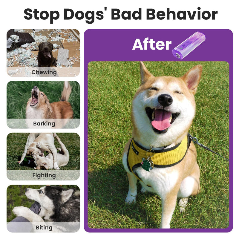 HOPFROG Ultra-Sonic Bark Deterrent for Dogs - Effective Anti Barking Device with 50ft Range, Humane Training Tool for Small/Medium/Large Dogs, Indoor & Outdoor Use - PawsPlanet Australia