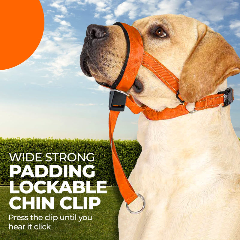 Dog Head Halter with Safety Strap - Headcollar - No-Pull Dog Collar – Perfect for Leash & Harness Training Medium and Large Dog Sizes (Size XL (Pack of 1), ฺBlue) - PawsPlanet Australia