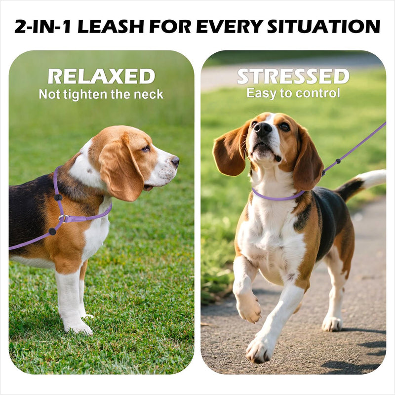 6FT Slip Lead Dog Leash with Double Padded Handle, Anti-Tangle Slip Leads for Dogs, Reflective Nylon No-Pull Training Leash for Small Medium Dogs, Purple 6 Feet - PawsPlanet Australia