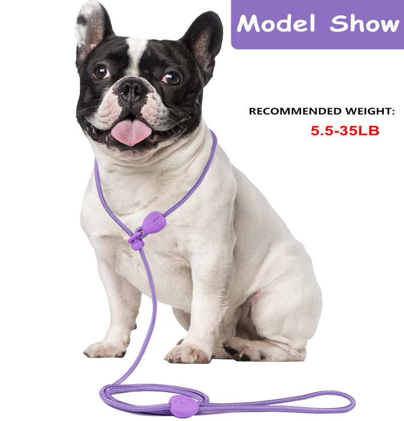 Purple 6FT No Pull Dog Training Leash - Lightweight Slip Lead for Small Medium Dogs Purple - PawsPlanet Australia