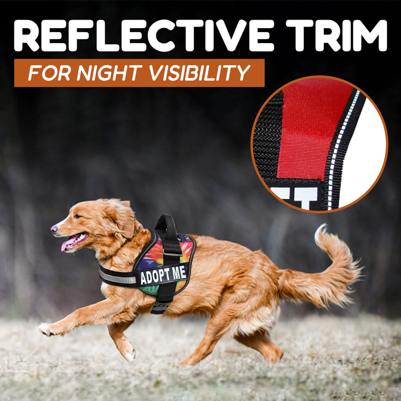 Doggie Stylz Adopt ME Nylon Dog Vest Harness with 2 Reflective Removable Patches - Ideal Dog Harness for Small Dogs and Dog Harness for Large Dogs, Versatile Pet Safety Accessory Girth 19-25" Purple - PawsPlanet Australia