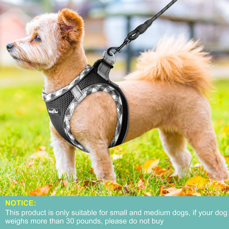 haapaw Dog Harness with Leash Set, No Pull Adjustable Reflective Step-in Puppy Harness with Thickened Padded Vest for Extra-Small/Small Medium Dogs M Black - PawsPlanet Australia