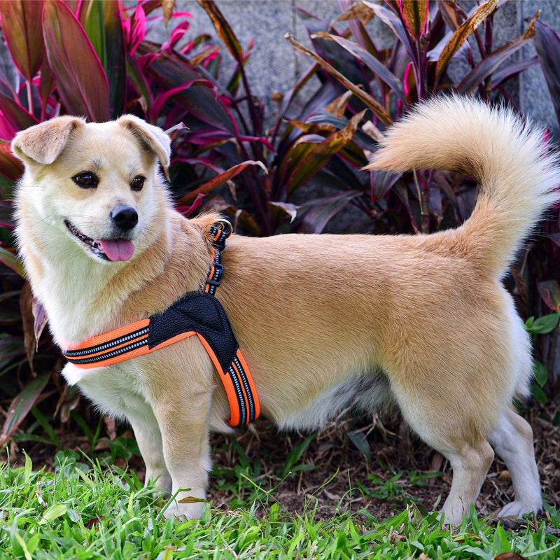 Dog Harness No Pull Ultra Soft Breathable Padded Pet Harness 2 Adjustable Botton, 3M Reflective Pet Harness for Dogs Easy Control for Small Medium Large Dogs (M, Blue) M