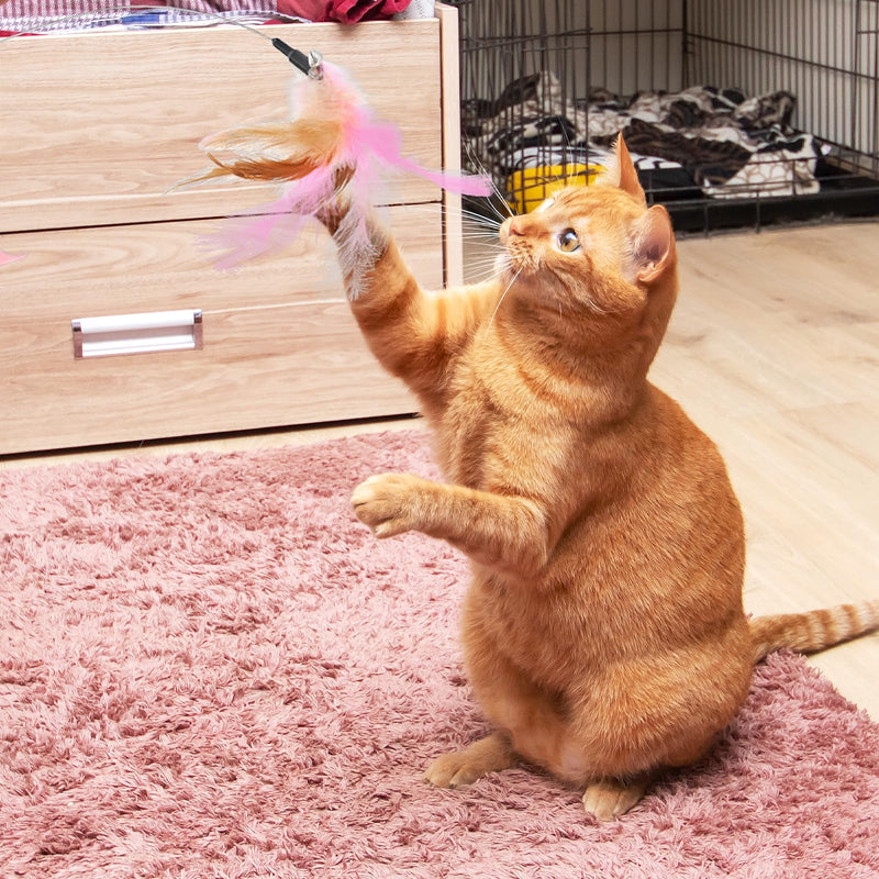 Cat Collar Toys, Cat Teasing Wand with Silicone Collar Adjustable Cat Wand Toy, Funny Cat Stick, Interactive Self Playing Toys Feather Bell for Indoor Cat Playing Training(Blue, Pink) - PawsPlanet Australia