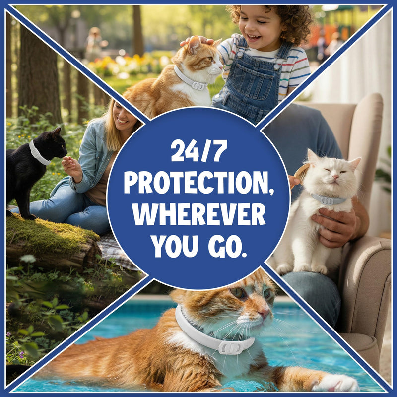 Cat Flea and Tick Collar (2 Pack) – Natural Waterproof Flea Collar for Cats & Kittens with 8 Month Protection Adjustable Cat Flea Collar Includes Tick Removal Tools & Flea Comb - PawsPlanet Australia