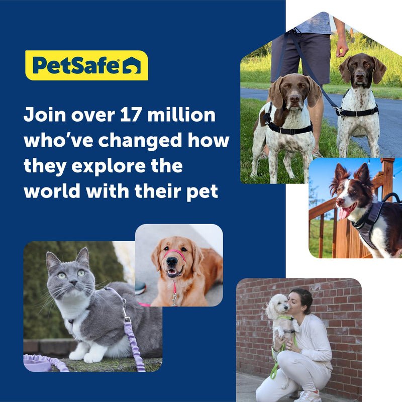 PetSafe Easy Walk Dog Harness - No Pull Dog Harness - Small/Medium, Raspberry - PawsPlanet Australia