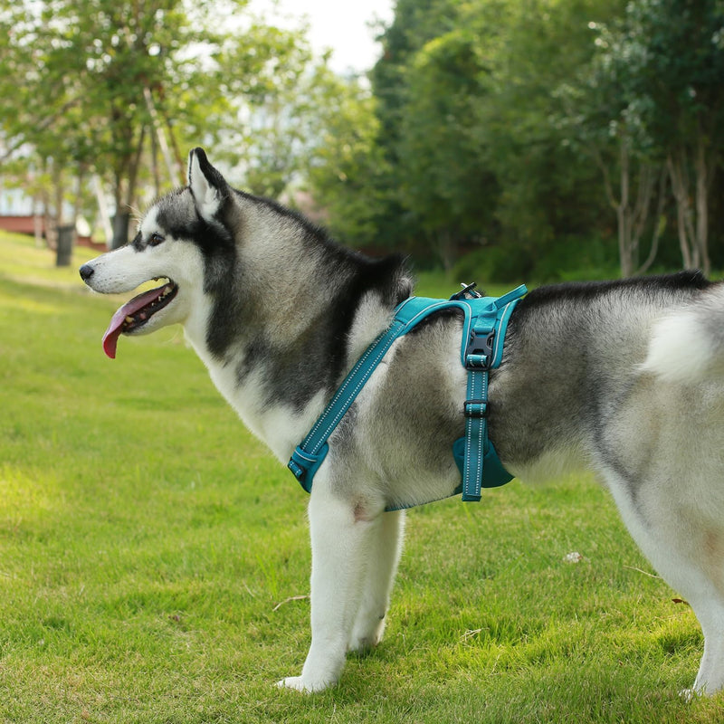 Voyager Dog Harness Dual Leash Attachment No-Pull Control Adjustable Soft but Strong Pet Harness for Medium and Large Dogs with 3M Reflective Technology - Turquoise, XL (Chest: 28 - 37") - PawsPlanet Australia