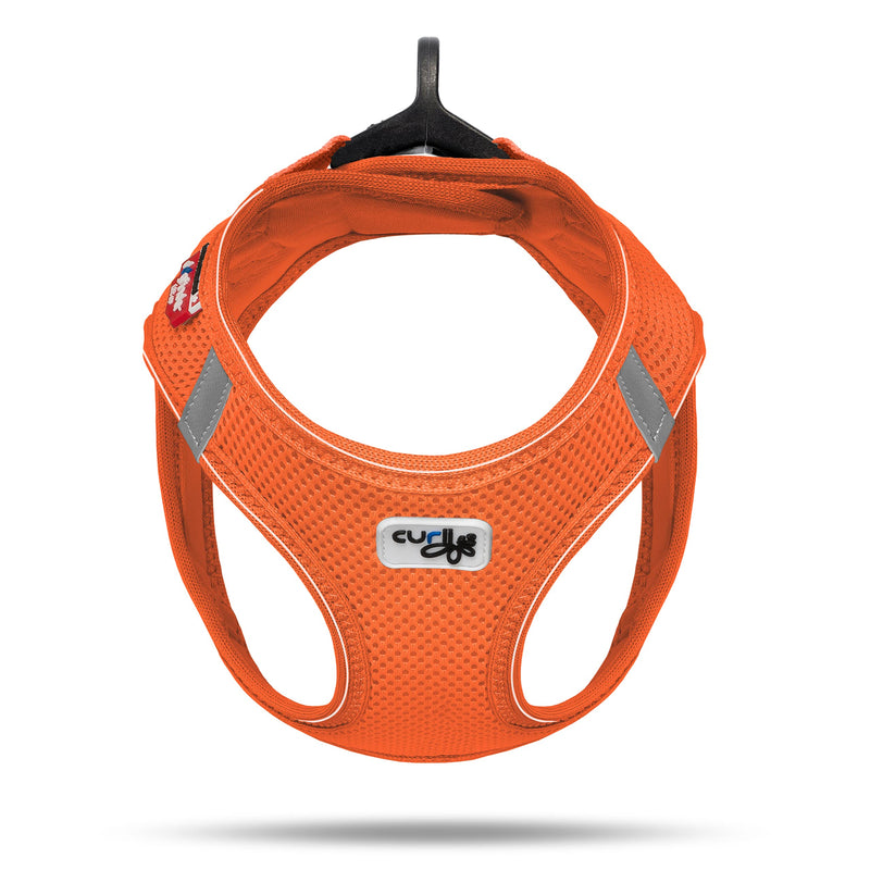 Curli Vest Harness D-Ring Buckle Mandarin M - PawsPlanet Australia