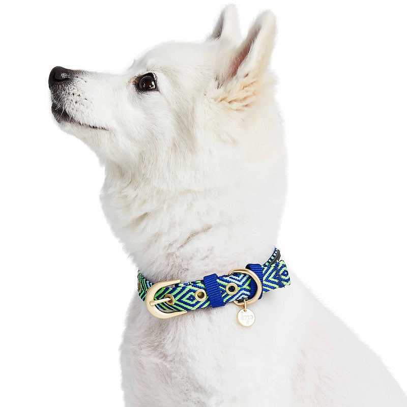 Blueberry Pet Southwestern Tribal Lozenges Stylish Green Adjustable Dog Collar with Metal Buckle, Neck 9-12.5", for Small Breed