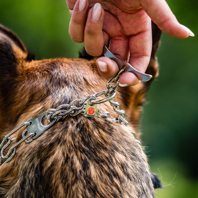 Herm. Sprenger Ultra-Plus Prong Dog Training Collar, Anti Pull Training Pinch Collar, (Stainless Steel, 3.0 mm Short Links x 18" Neck Size; 19-20" Chain Length) - Toggle Version Stainless Steel
