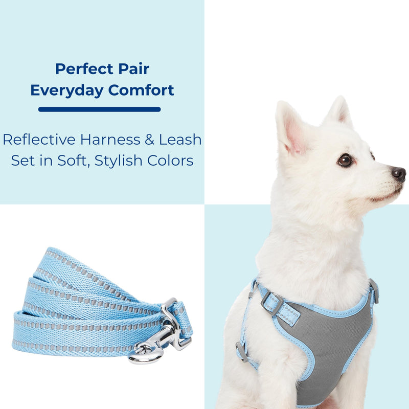 Blueberry Pet Matching Reflective Harness and Leash Set | Adjustable Pastel Vest with Lead for Dogs – Great Value Gift Set | Adjustable Baby Blue Vest for Medium Breeds - PawsPlanet Australia