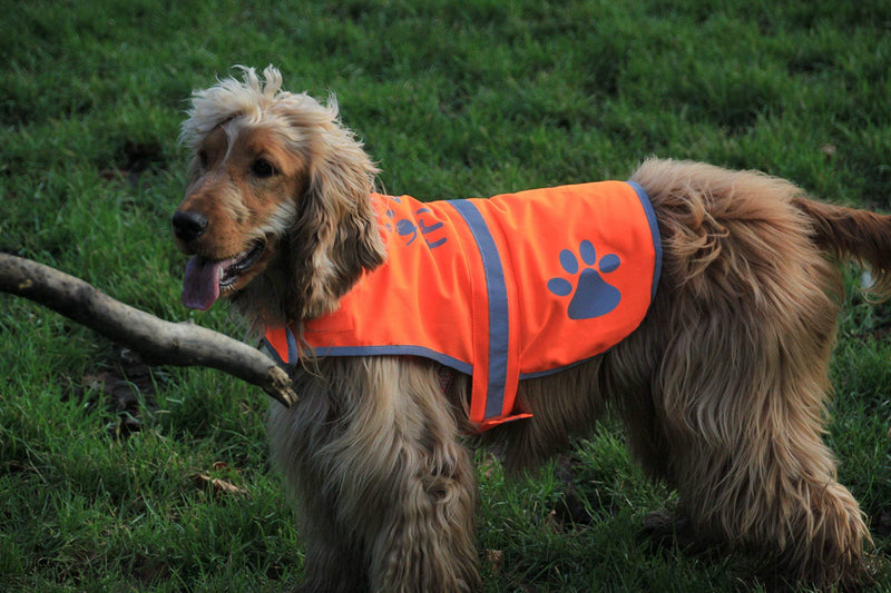 4LegsFriend Dog Safety Orange Reflective Vest with Leash Hole 5 Sizes - High Visibility for Outdoor Activity Day and Night, Keep Your Dog Visible, Safe from Cars & Hunting Accidents XL - PawsPlanet Australia