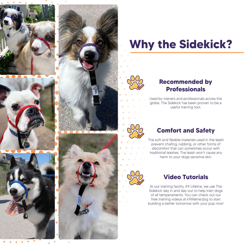 Heather's Heroes The Sidekick No-Pull Leash, Red, Mini Mini (1/4") - PawsPlanet Australia