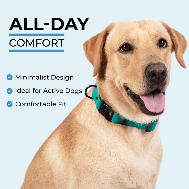 Light Duty Rivet Biothane Dog Collar - Teal, Waterproof, Odor Proof, Lightweight, Made in the USA, Curved Quick Release Plastic Buckle, Large 17-20" Neck W 1" x L 17-20" - PawsPlanet Australia