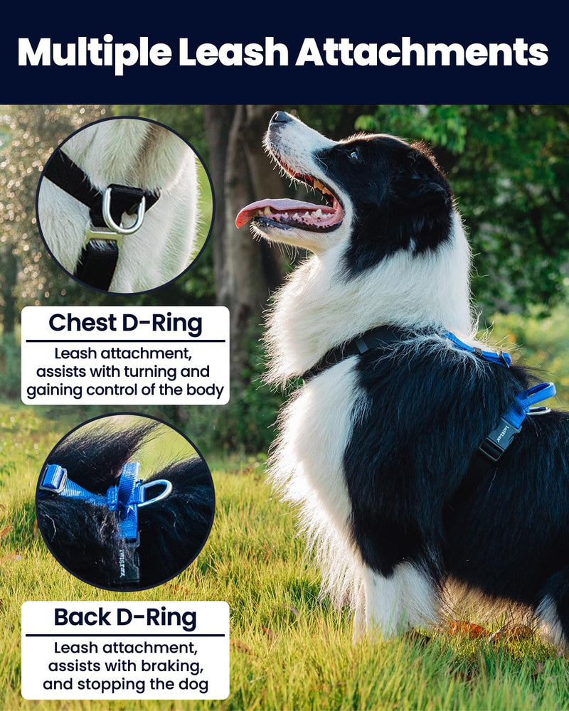 No Pull Dog Harness with Two Points Control Leash Set, Neck Buckle, Aluminum D-Rings, 6 Points Adjustment, Easy Walking and Training, Leash with 2 Clips (Harness-Leash Set, L) - PawsPlanet Australia