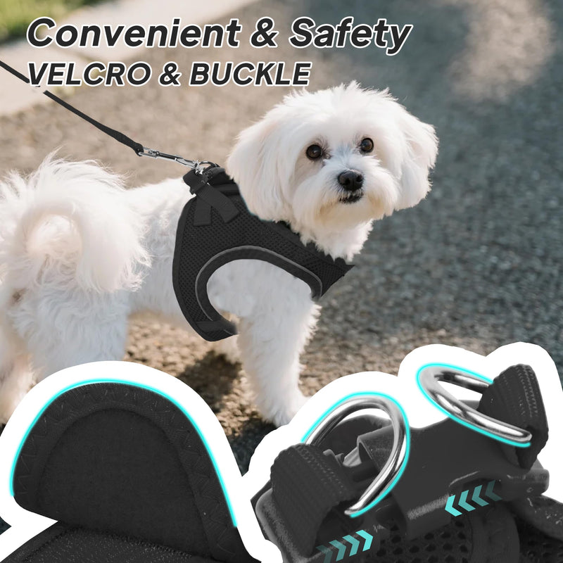 PetiFine Step in Small Dog Harness and Leash Set, Breathable All Weather Air Mesh Reflective Escape Proof, Step-in Vest Harnesses for Puppy(S, Black) S | Neck: 12.6''-13.8'' Chest:16.1''-17.7'' | - PawsPlanet Australia