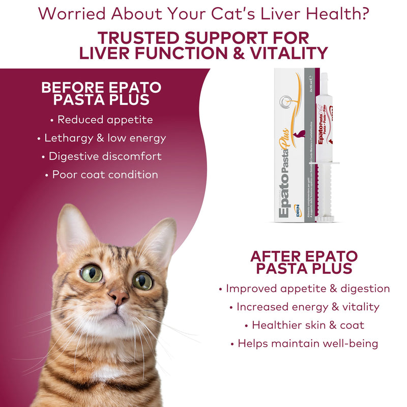 FATRO EPATO 2 Syringes of Pasta hepatoprotector for Cats 15 ml