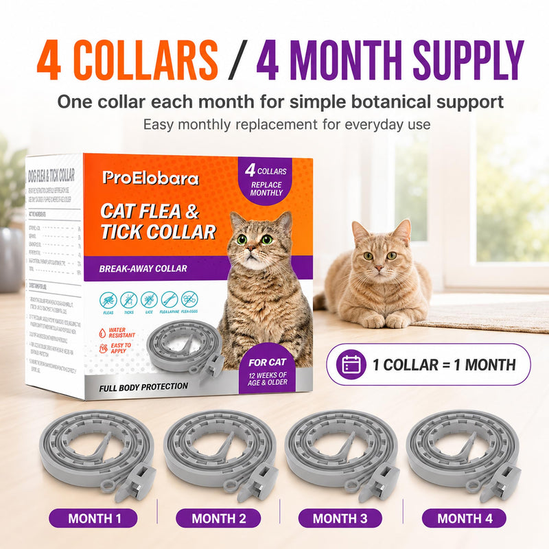 Flea Tick Prevention Collars for Cats: Essential Oil-Based Collar for 4 Month Support - Natural Fleas Ticks Breakaway Collar for Large & Small Cat, Outdoor Fleas Ticks Control for Kittens Gray