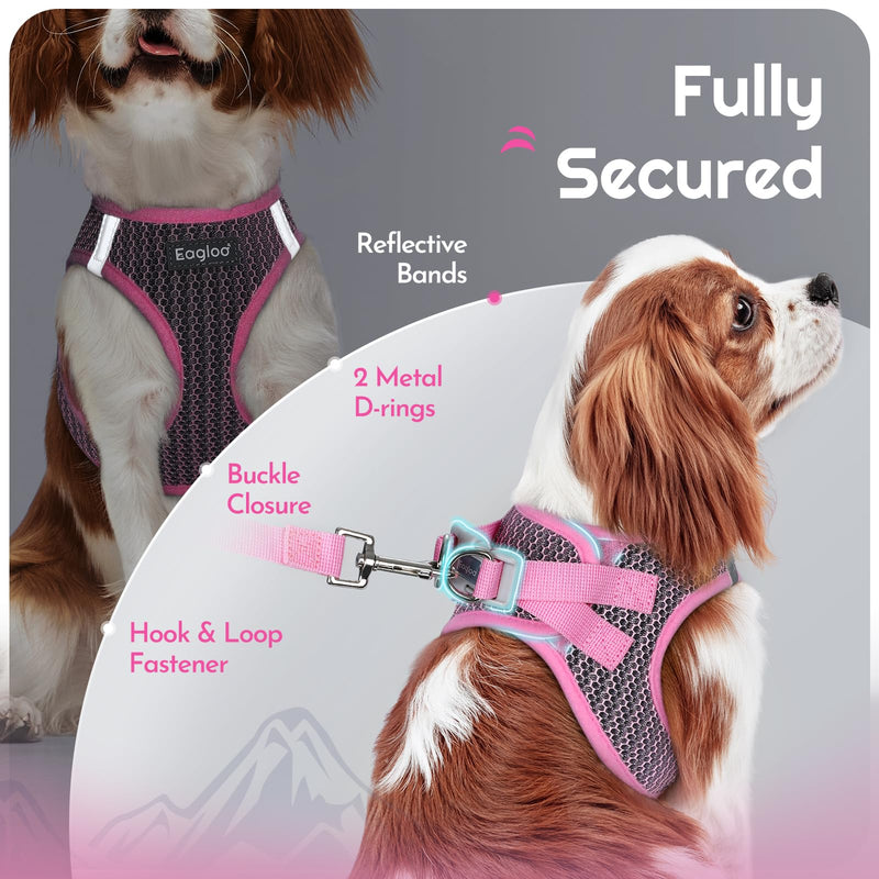 Eagloo Small Dog Harness and Leash Set, Step in Puppy Vest with Breathable Soft Mesh, Walking Reflective Pet Harness for Small Dogs, Pink, S S(Chest:15.1"-16.5") - PawsPlanet Australia