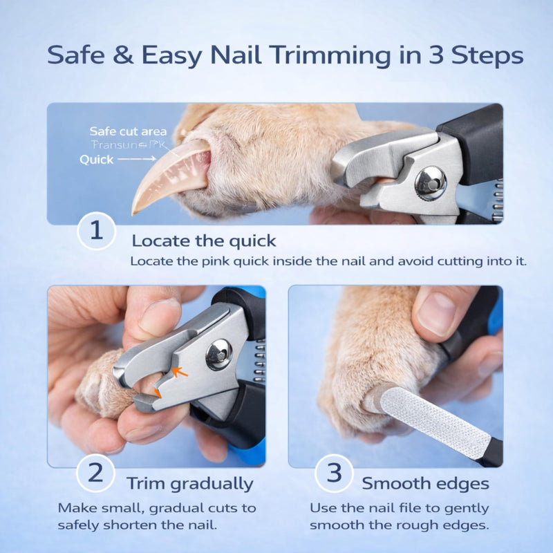 Dog & Cat Nail Clippers & Trimmers - Extra Sharp Dog Clippers with Stainless Steel Blades & Safety Guard to Avoid Overcutting - Ergonomic Cat Nail Clippers with Non-Slip Grip & Lock Feature Blue - PawsPlanet Australia