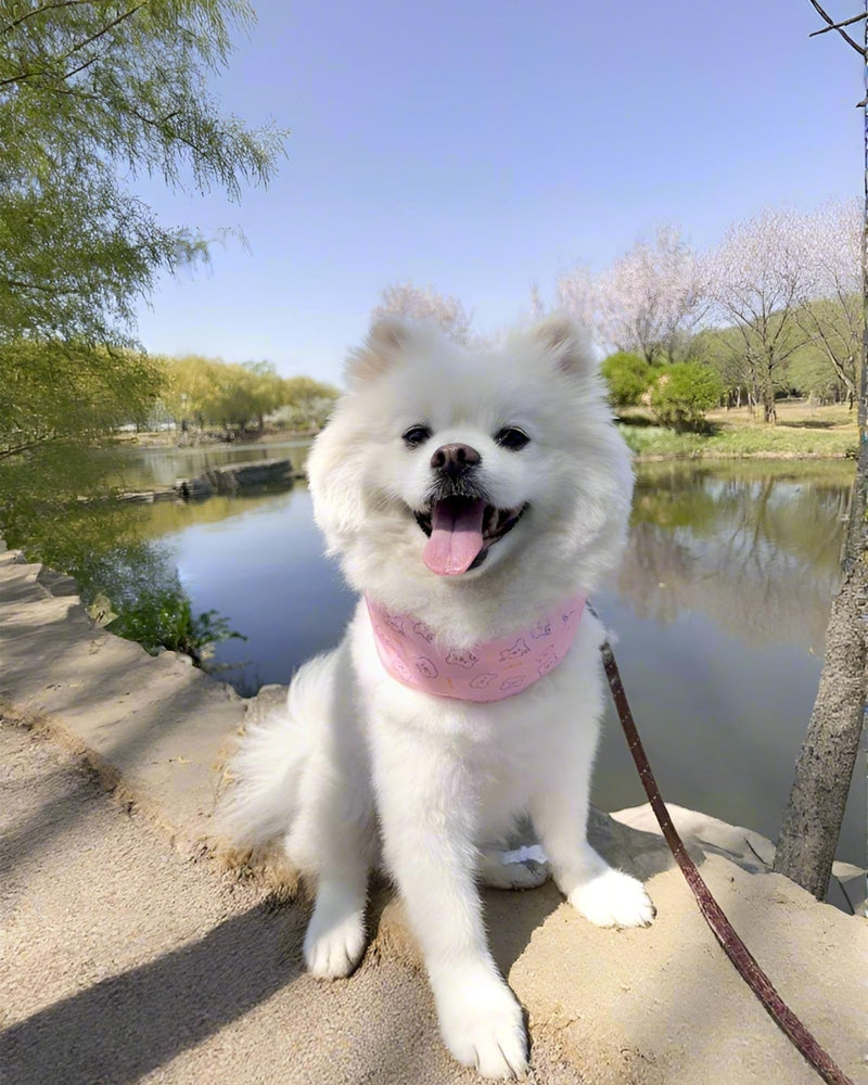 Hosiwei Dog Cooling Collar with Ice Packs - Adjustable Pet Cooling Bandana for Summer, Reusable & Freezable Neck Wrap Scarf for Dogs - Hot Weather Chill Out Accessory Pink Bear Medium